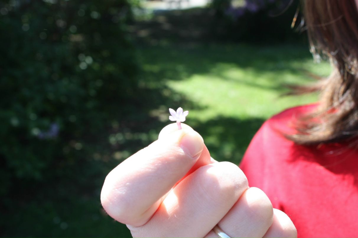 Мария Весновская | Москва