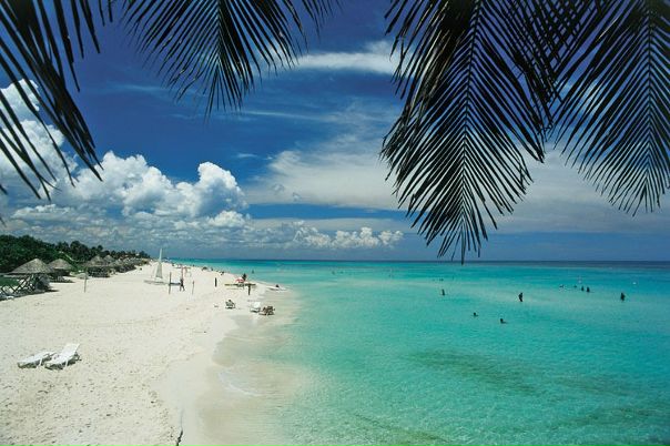 №124, Юлия Смирнова, Петрозаводск №124, Юлия Смирнова, Петрозаводск