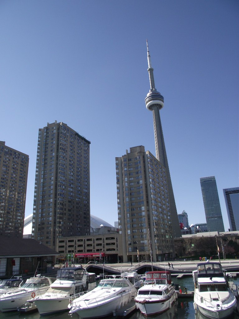 Marta Malina | Toronto