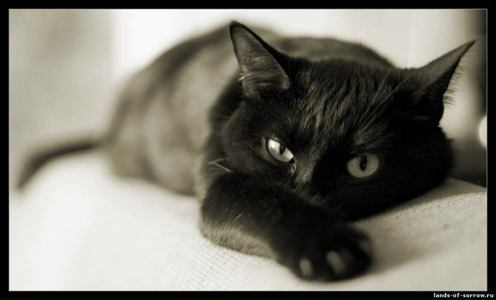 №78, Александра Шабунова, 41 год, Москва №78, Александра Шабунова, 41 год, Москва