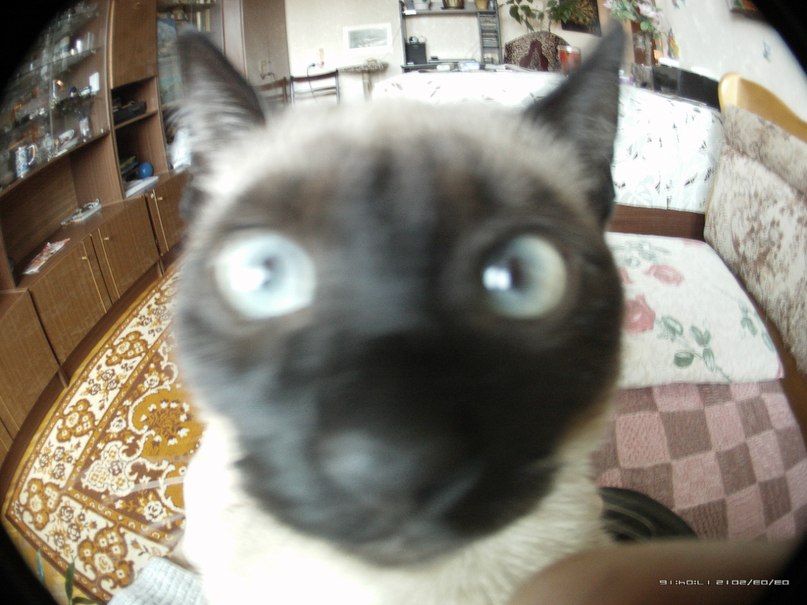 Ирина Пищик ♥бабушка Ира ♥ | Санкт-Петербург