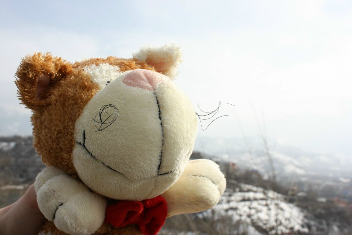 Виктория Паламарчук | Алматы