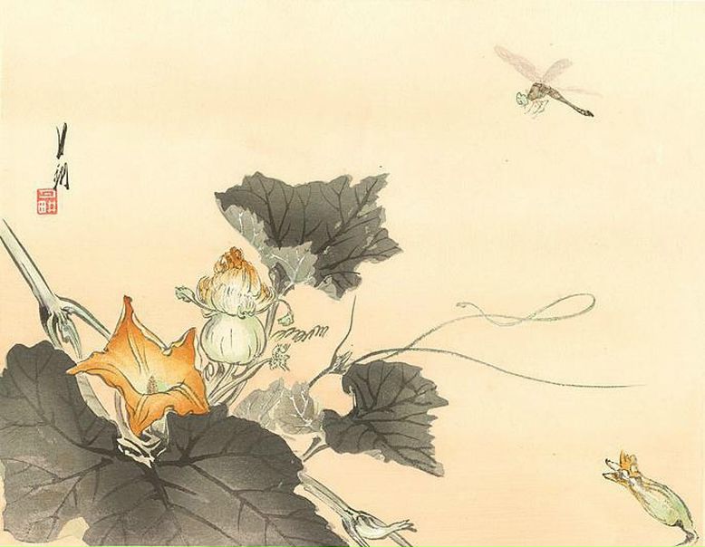 №53, Мария Мухитова, Санкт-Петербург, Россия №53, Мария Мухитова, Санкт-Петербург, Россия