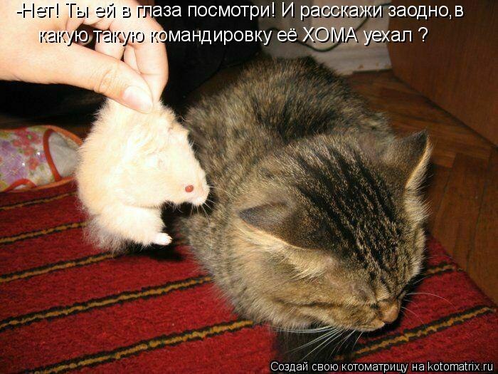 Сергей Макаревич | Воронеж