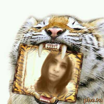 Елена Борщова-Любченко | Москва