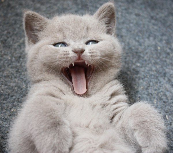 Ирина Семёнова | Киев