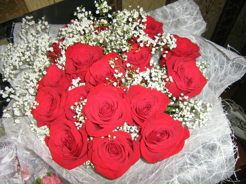 Светлана Колесова | Покров