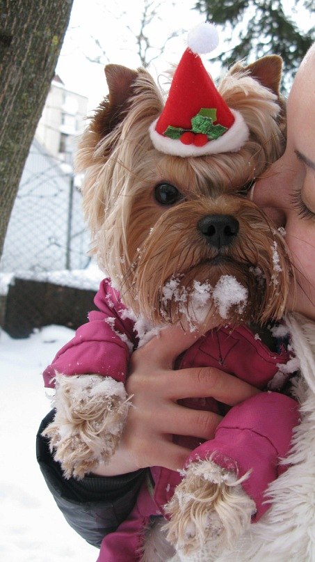 Зоряна Свитлык | Тернополь