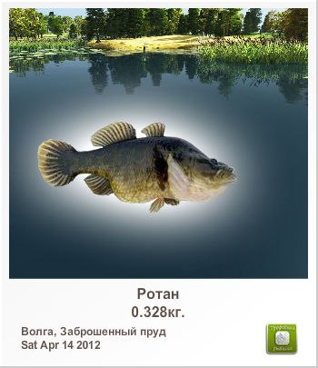 Санёк Сизов | Саратов