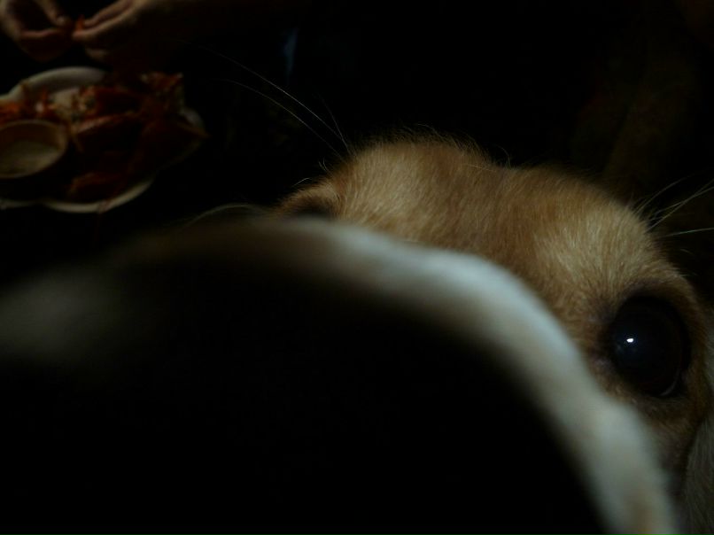 Илья Шибаев Вадимович | Карасук