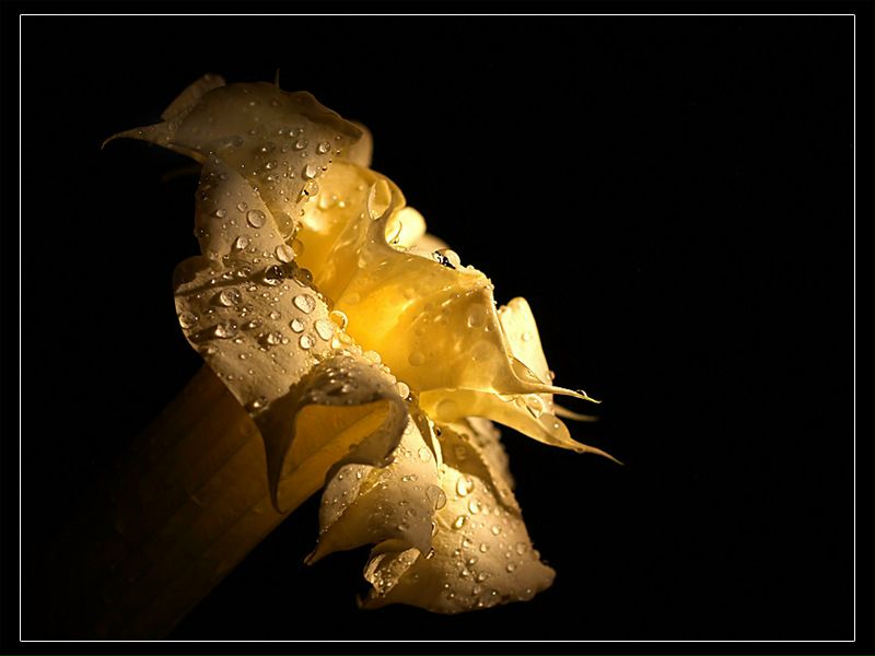 №60, Иракли Сахокия, 35 лет, Балашиха, Россия №60, Иракли Сахокия, 35 лет, Балашиха, Россия