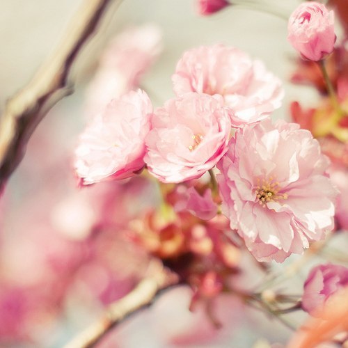 Оля Соколова | Санкт-Петербург