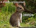 Влада Байрак фотография #7