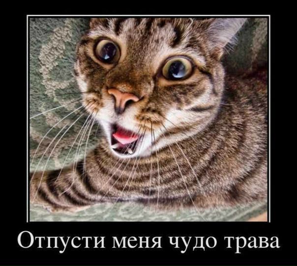№40, Артем Ульянов №40, Артем Ульянов