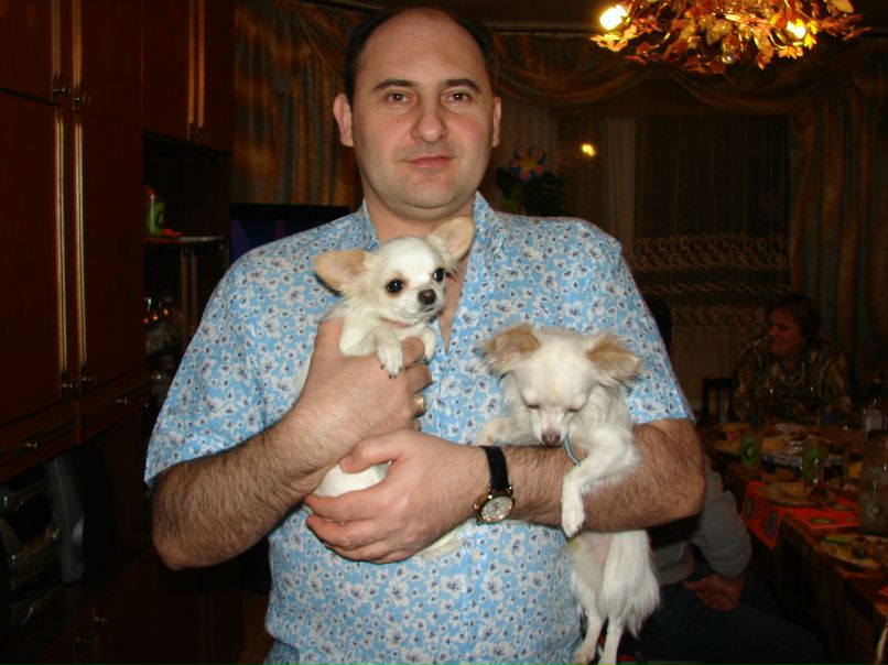 Мамедов Теймур | Щелково