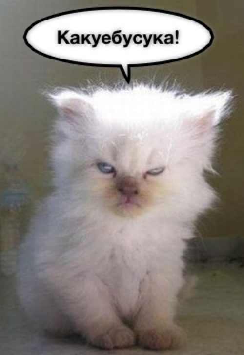 Александр Котов ¼mile на N2O | Москва