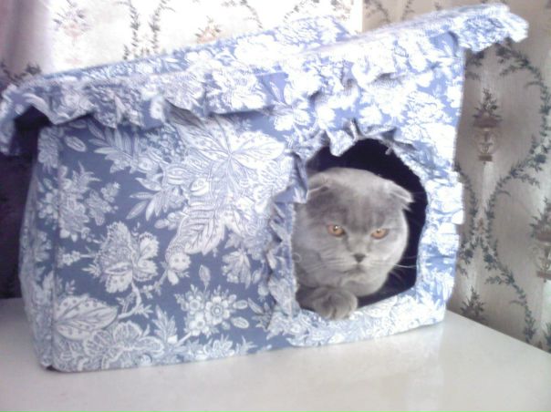 №136, Юлия Фролова, Воронеж №136, Юлия Фролова, Воронеж