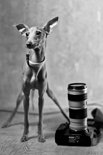 №61, Анна Лисовская, 42 года, Киев №61, Анна Лисовская, 42 года, Киев