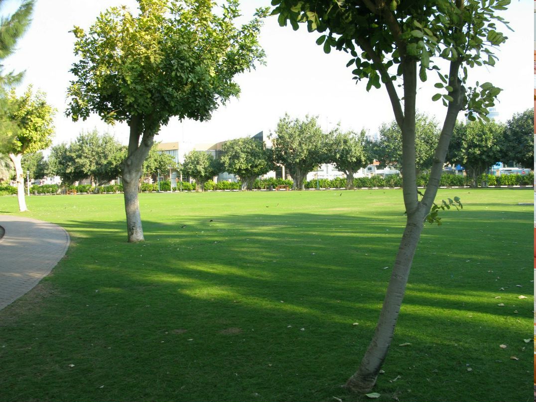 Юлия Лихо | Ростов-на-Дону