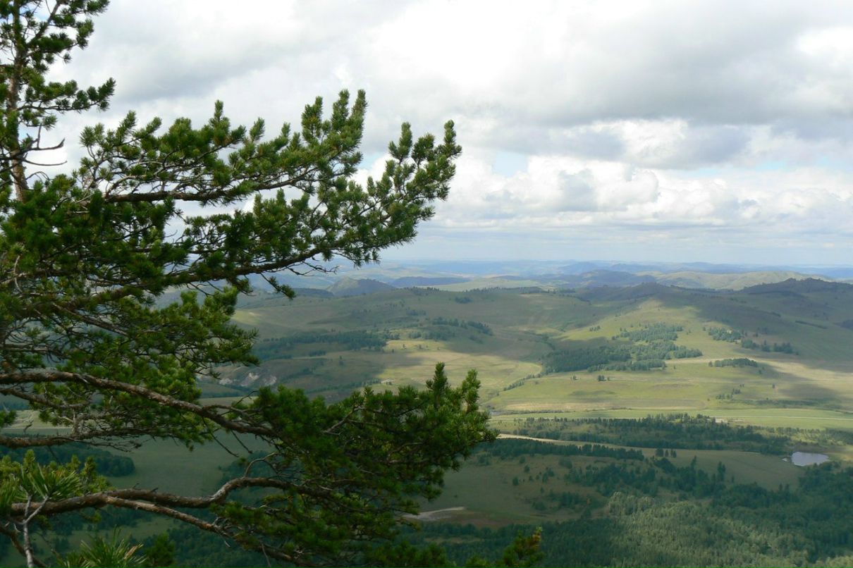 Вячеслав Рощин | 