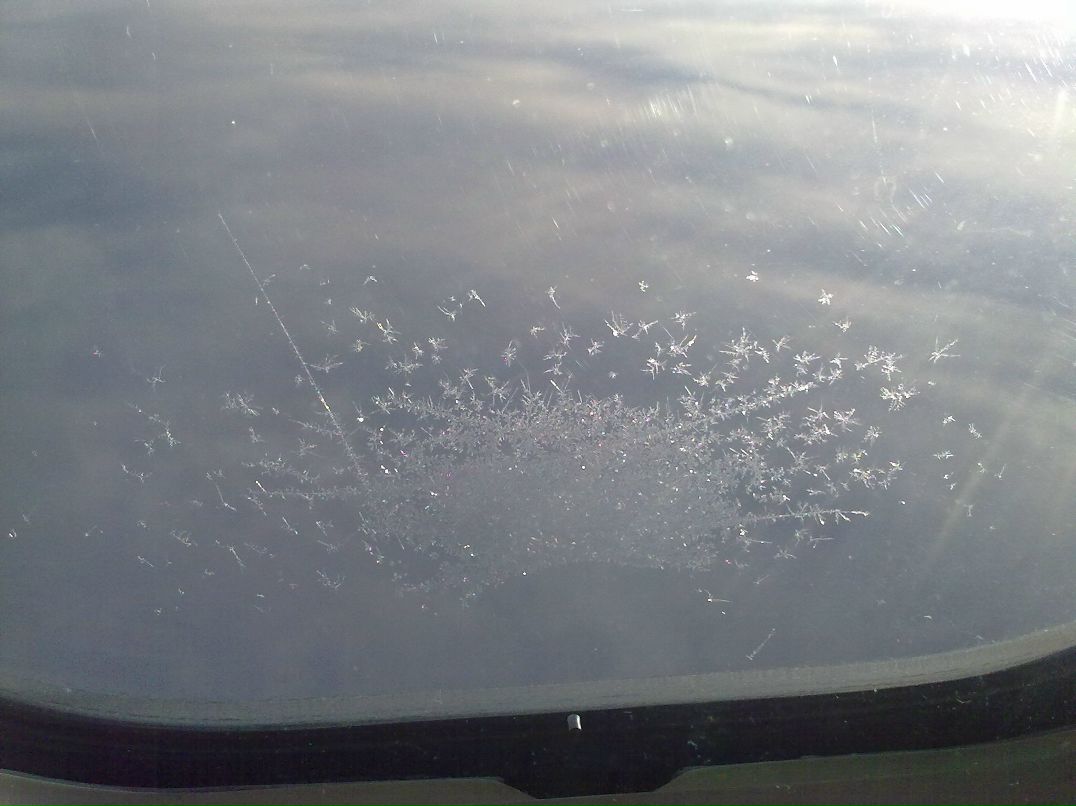 Ксения Поварова | Москва