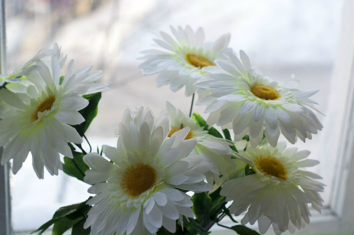 Константин Ваганов | Пермь