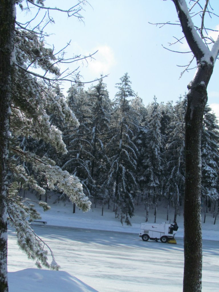 Леся Кононенко | Montréal