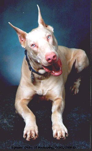 Артур Асадулин (ТУРИ_АСАДУЛИ) | Уфа