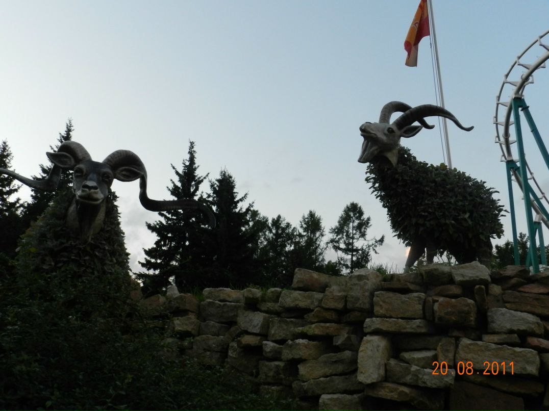 Александр Савельев | Санкт-Петербург