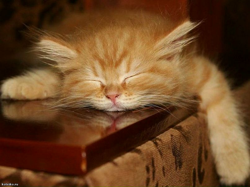 Вероника Глинских | Екатеринбург