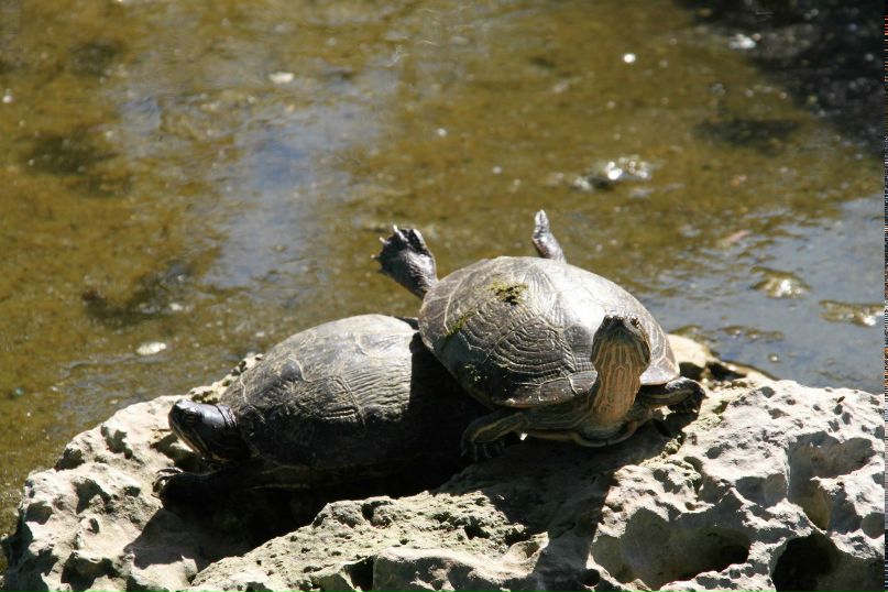 Дарья Корчмидт | Москва