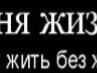 Вадим Стеценко | Сумы