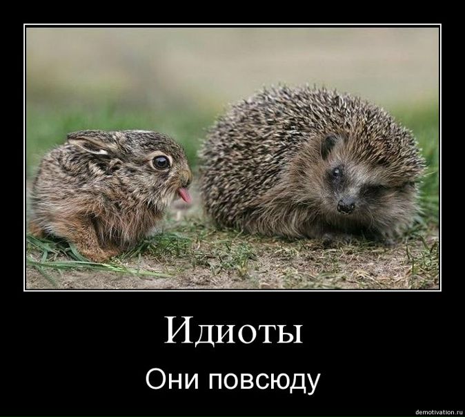 №26, Марина Тимофеева №26, Марина Тимофеева