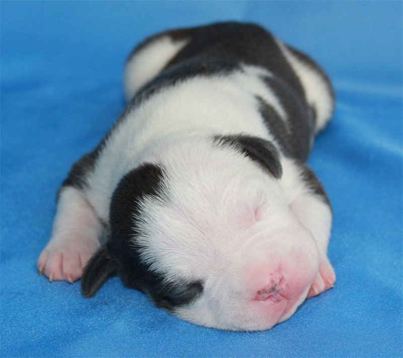 Жанна Золотухина 