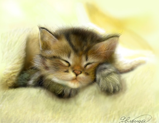 №83, Елена Иванова №83, Елена Иванова