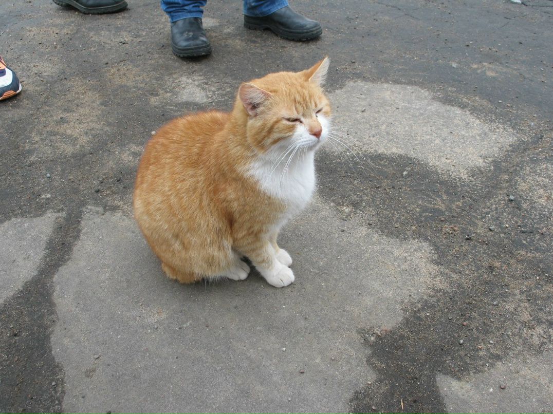 Катя Шапиро | Москва