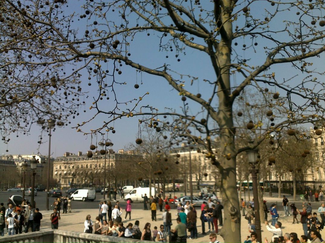 Катя Вострикова | Санкт-Петербург