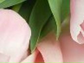 Людмила Хома | Нововолынск