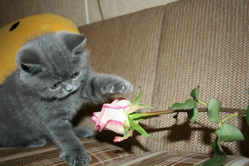 Ирина Петрова | Курган