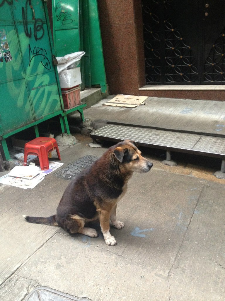 Надя Чешкова | Milano