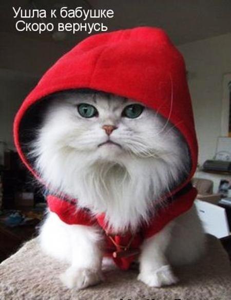 Маринка Качанова | Сумы