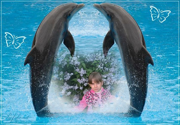 №24, Анастасия Пугачева №24, Анастасия Пугачева