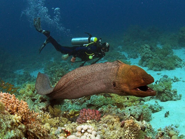 Антон Качан | Минск