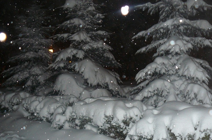 Битина Чимидова | Москва