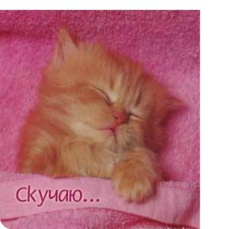 Светлана Землянская | Саратов