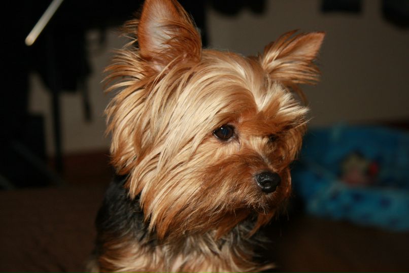 Олечка Титова princessa | Москва