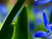 Галина Ковалюк | Горняк