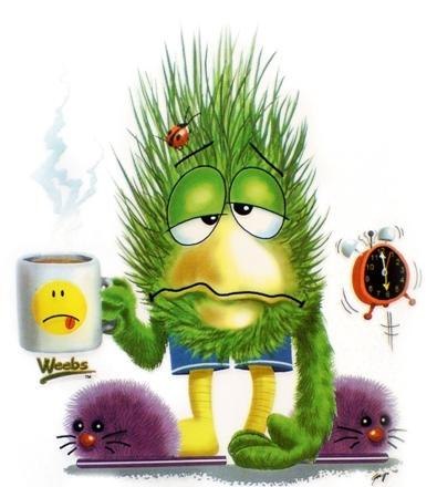 Анастасия Иванова | 