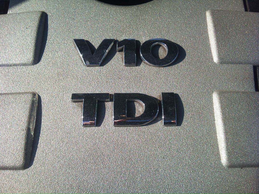 Серёга Бычков | Москва