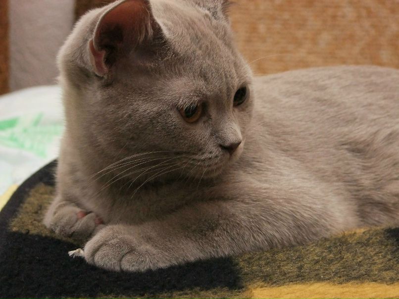 Вадим Барко | Киев